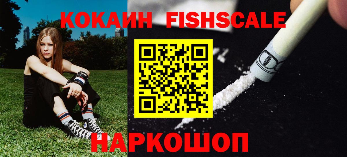 Cocaine Fish Scale  Cocaine  Москва  Вход с VPN  Cocaine VHQ 