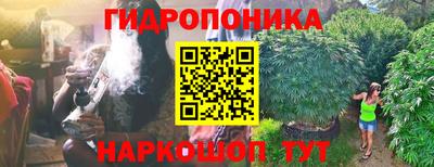 СК Дубна