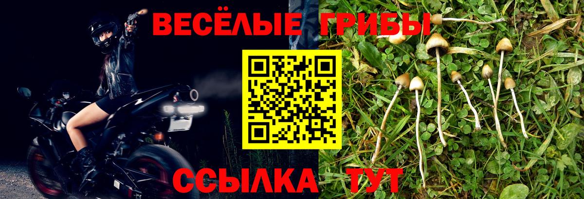 Псилоцибиновые грибы мицелий  Вход с VPN  Москва  Псилоцибиновые грибы ЛСД 